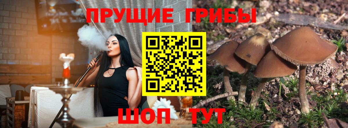 Фролово  Псилоцибиновые грибы Magic Shrooms  Вход с VPN 